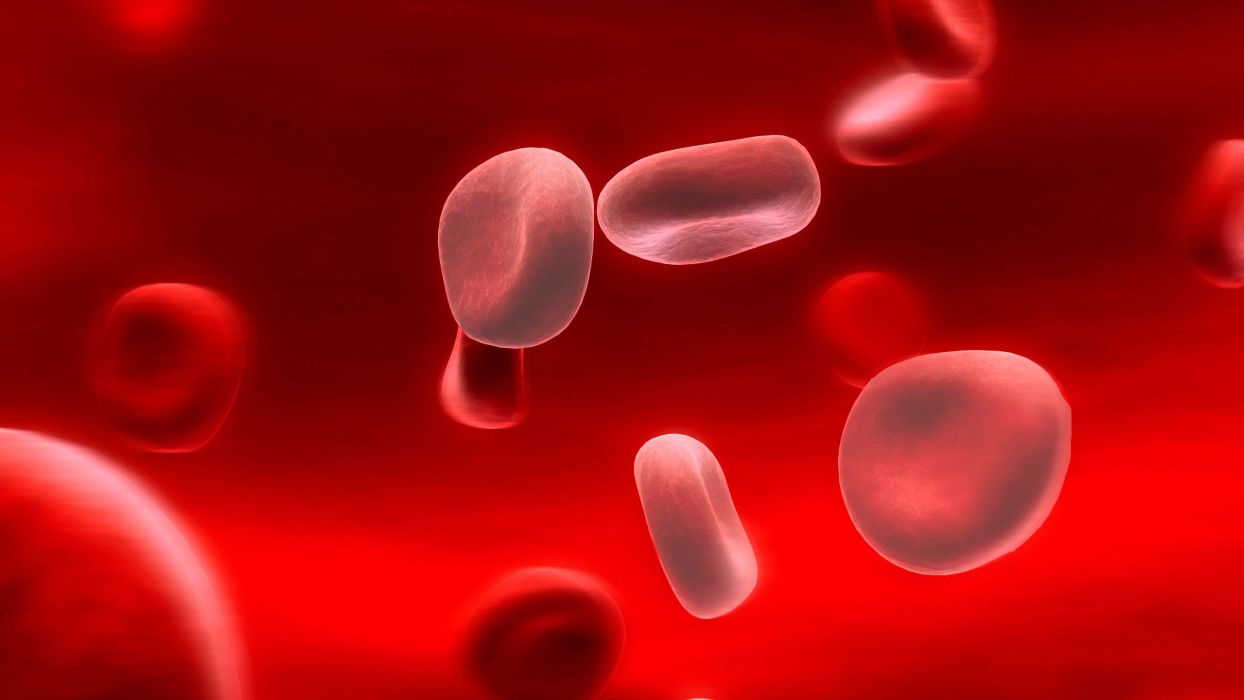 A Disorder of The Red Blood Cells Is Anemia
